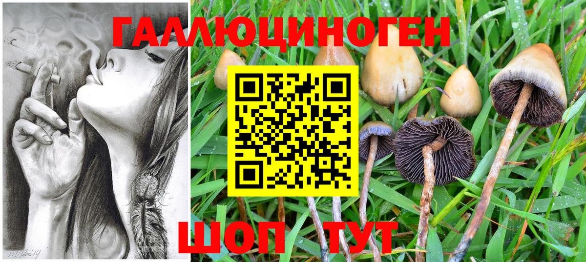 Галлюциногенные грибы прущие грибы Киров