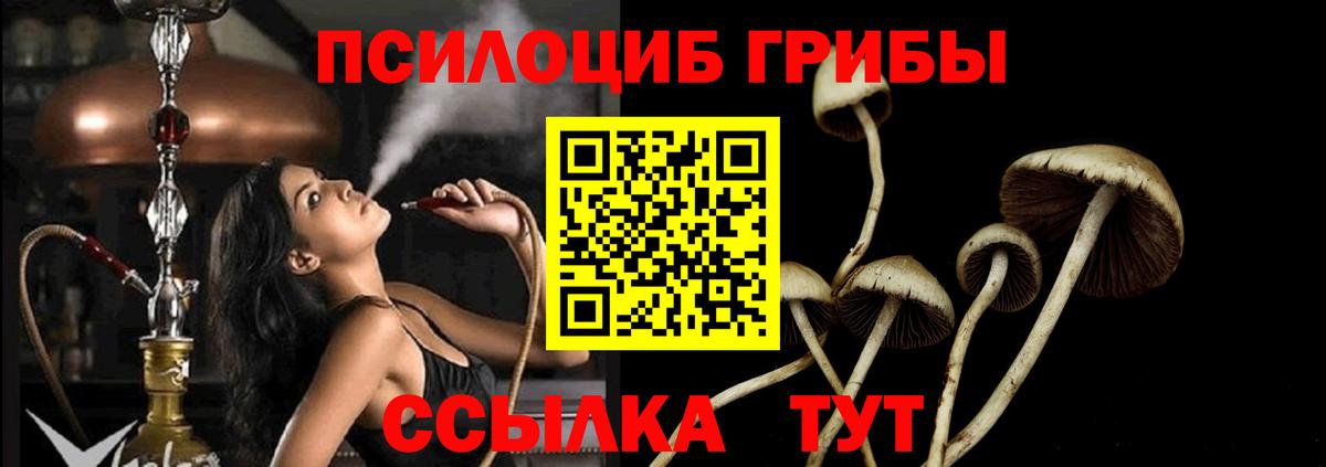 Галлюциногенные грибы GOLDEN TEACHER  Вход с VPN  что такое наркотик  Псилоцибиновые грибы Psilocybe  Киров 